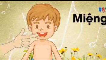 Khám phá khuôn mặt bé - GV: Mai Thanh Vân