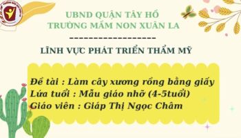 Tạo hình: Làm cây xương rồng bằng giấy- GV: Ngọc Châm